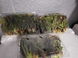 문보라님의 작성글 사진