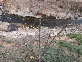 이은주(여성초보농민님의 자유주제 · 자유게시판 작성글 사진