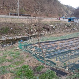 이은주(여성초보농민님의 자유주제 · 자유게시판 작성글 사진