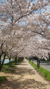 팜모닝 자유주제·자유게시판 게시글 이미지