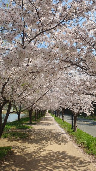 박철규 님의 자유주제 · 자유게시판 작성글 사진