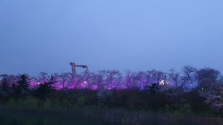 박철규 님의 자유주제 · 자유게시판 작성글 사진