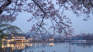 박철규 님의 자유주제 · 자유게시판 작성글 사진