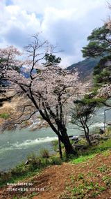 팜모닝 자유주제·자유게시판 게시글 이미지