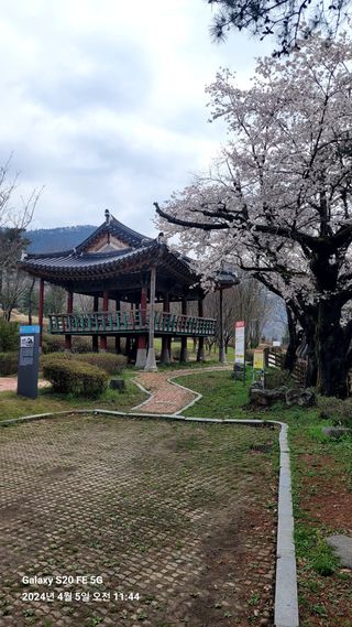 월파 박래용님의 자유주제 · 자유게시판 작성글 사진