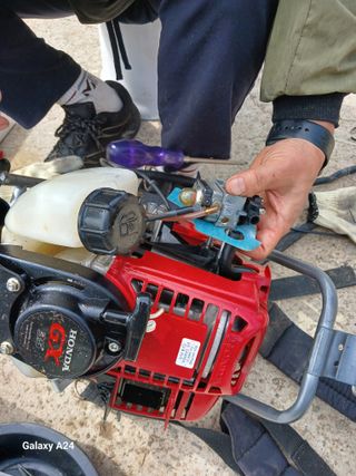 이상애초보농업님의 자유주제 · 자유게시판 작성글 사진