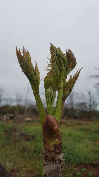 정운필님의 작성글 사진