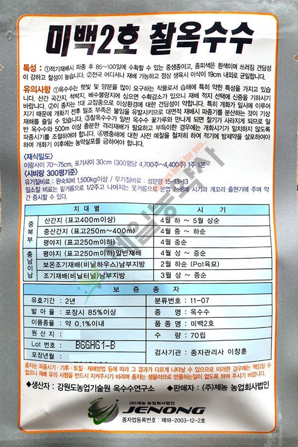 안산제일농약사님의 장터 판매 상품 [미백2호 옥수수모종 50구 1판] 첨부 사진