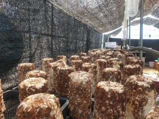 김순필수방님의 자유주제 · 자유게시판 작성글 사진