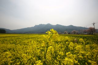 문해님의 자유주제 · 자유게시판 작성글 사진