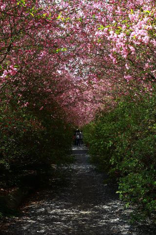 문해님의 자유주제 · 자유게시판 작성글 사진