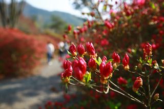 문해님의 자유주제 · 자유게시판 작성글 사진