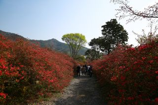 문해님의 자유주제 · 자유게시판 작성글 사진