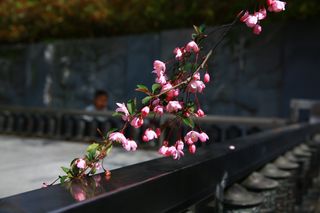 문해님의 자유주제 · 자유게시판 작성글 사진