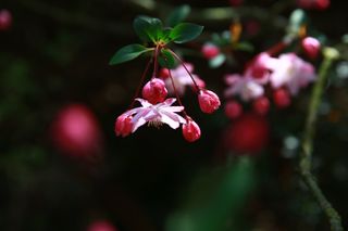 문해님의 자유주제 · 자유게시판 작성글 사진