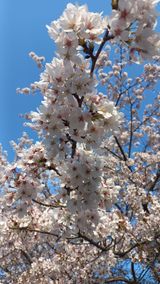 팜모닝 자유주제·자유게시판 게시글 이미지