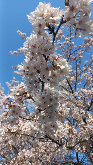 송월명님의 자유주제 · 자유게시판 작성글 사진