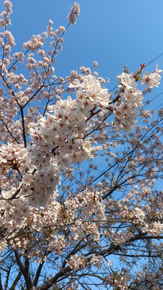 송월명님의 자유주제 · 자유게시판 작성글 사진