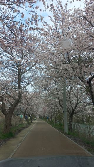 송월명님의 자유주제 · 자유게시판 작성글 사진