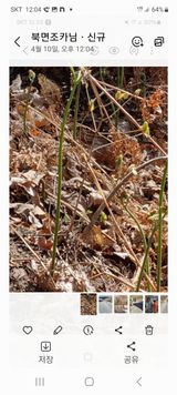 팜모닝 자유주제·자유게시판 게시글 이미지