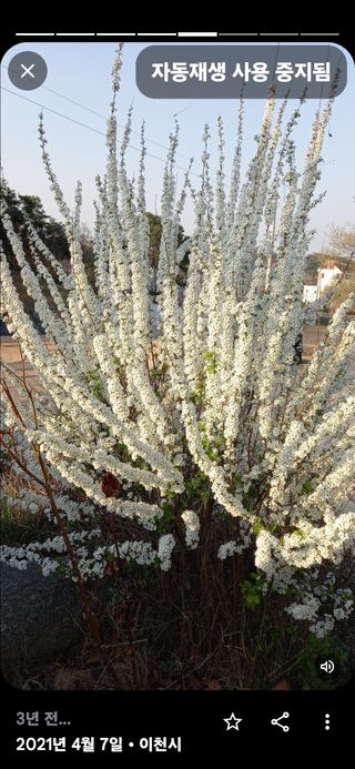 신신기루님의 고추 · 영농일지 작성글 사진