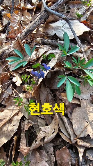 장철식님의 자유주제 · 자유게시판 작성글 사진