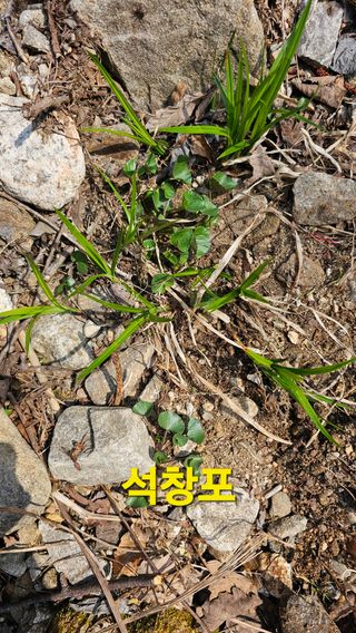 장철식님의 자유주제 · 자유게시판 작성글 사진