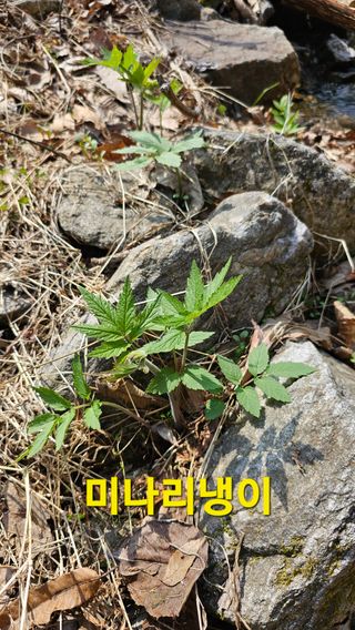 장철식님의 자유주제 · 자유게시판 작성글 사진