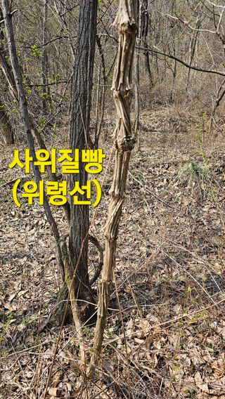 장철식님의 자유주제 · 자유게시판 작성글 사진