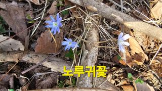 장철식님의 자유주제 · 자유게시판 작성글 사진