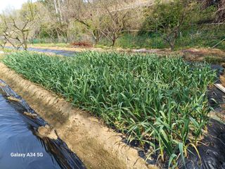 박진문님의 자유주제 · 자유게시판 작성글 사진
