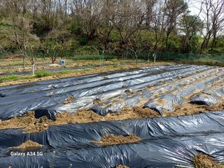 박진문님의 자유주제 · 자유게시판 작성글 사진