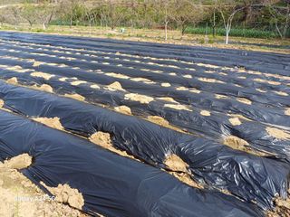 박진문님의 자유주제 · 자유게시판 작성글 사진