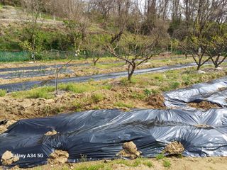 박진문님의 자유주제 · 자유게시판 작성글 사진