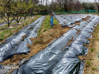 박진문님의 자유주제 · 자유게시판 작성글 사진