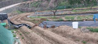 박진문님의 자유주제 · 자유게시판 작성글 사진