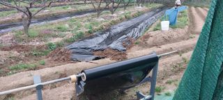 박진문님의 자유주제 · 자유게시판 작성글 사진