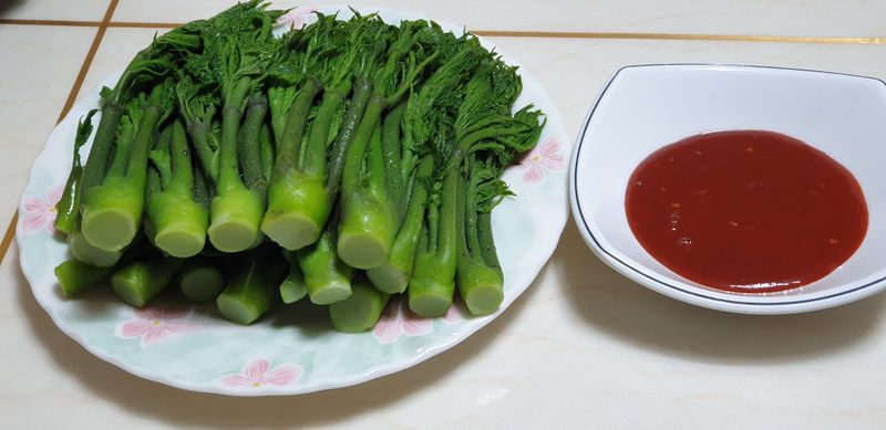 잡곡류님의 장터 판매 상품 [참 두릅 ] 첨부 사진