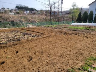 땅땅님의 기타작물 · 자유게시판 작성글 사진