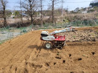 땅땅님의 기타작물 · 자유게시판 작성글 사진
