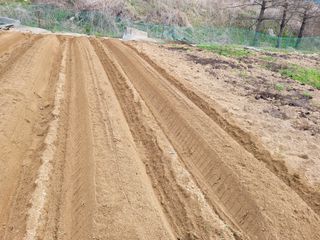 땅땅님의 기타작물 · 자유게시판 작성글 사진