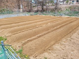 땅땅님의 기타작물 · 자유게시판 작성글 사진