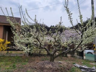 땅땅님의 기타작물 · 자유게시판 작성글 사진
