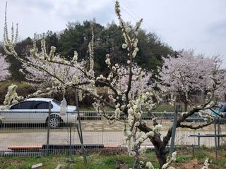 땅땅님의 기타작물 · 자유게시판 작성글 사진