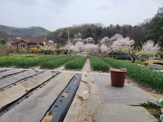 땅땅님의 기타작물 · 자유게시판 작성글 사진