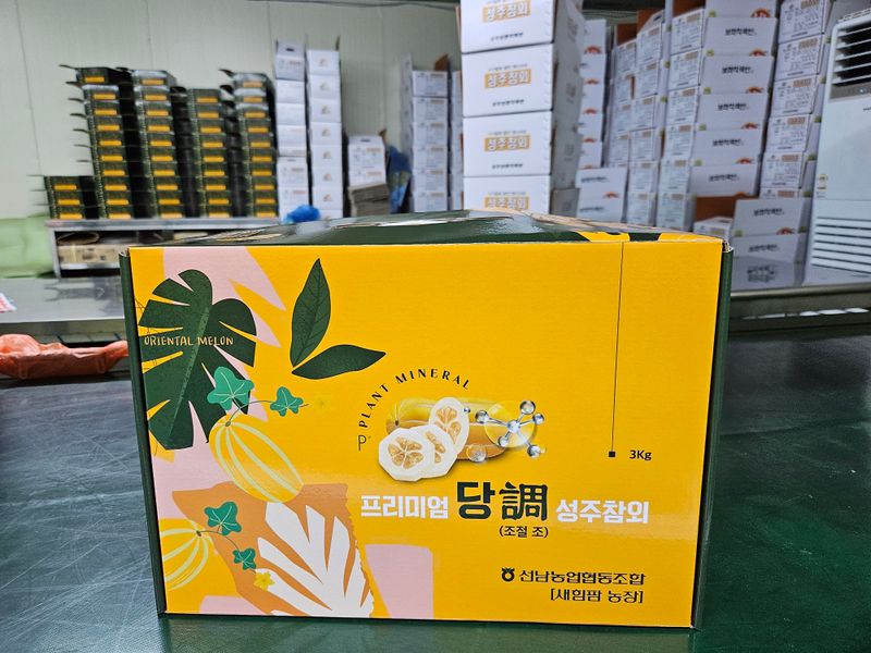 경북.성주.이은혜.님의 장터 판매 상품 [강찬꿀참외가정용5키로] 첨부 사진