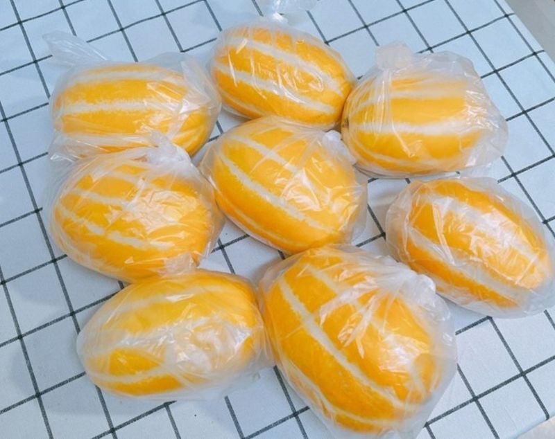 경북.성주.이은혜.님의 장터 판매 상품 [강찬꿀참외가정용5키로] 첨부 사진