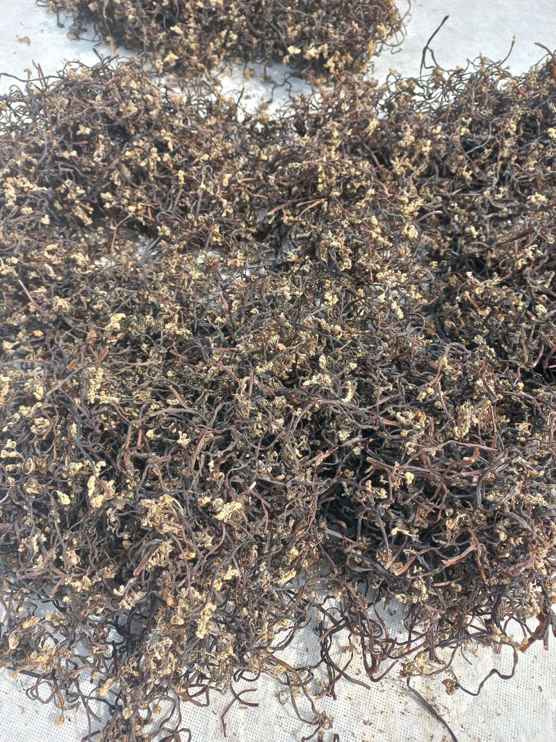 장터 상품 [먹고사리110g] 썸네일