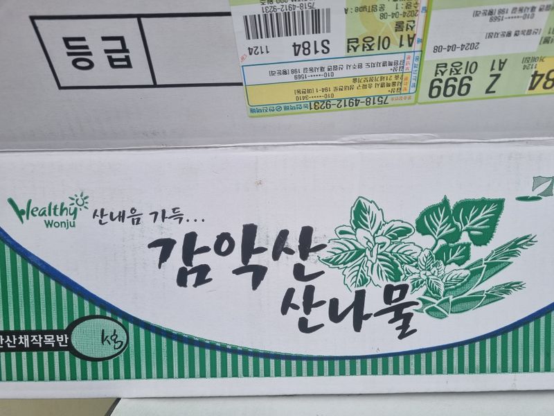 송채현님의 장터 판매 상품 [명이나물 산마늘(줄기명이) 4kg] 첨부 사진