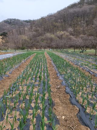 동해리님의 자유주제 · 자유게시판 작성글 사진